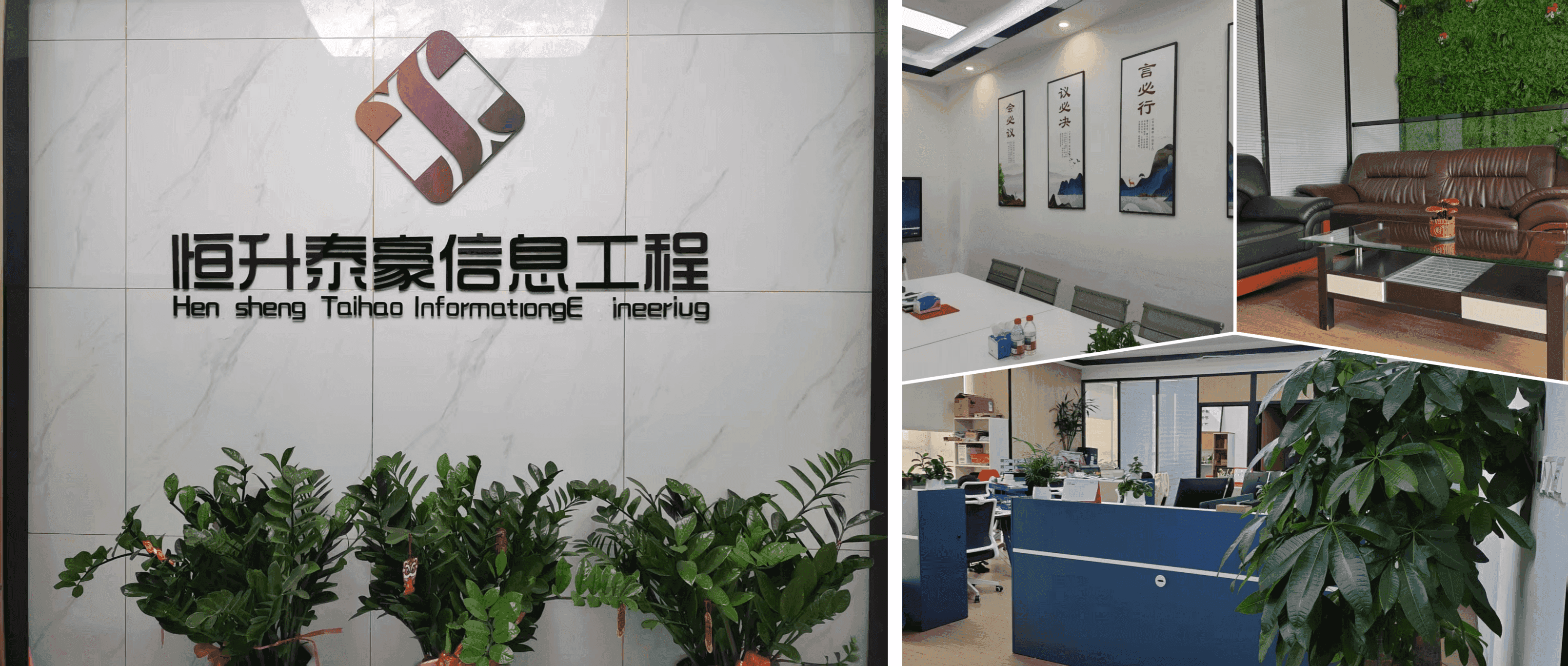 恒升泰豪公司介绍