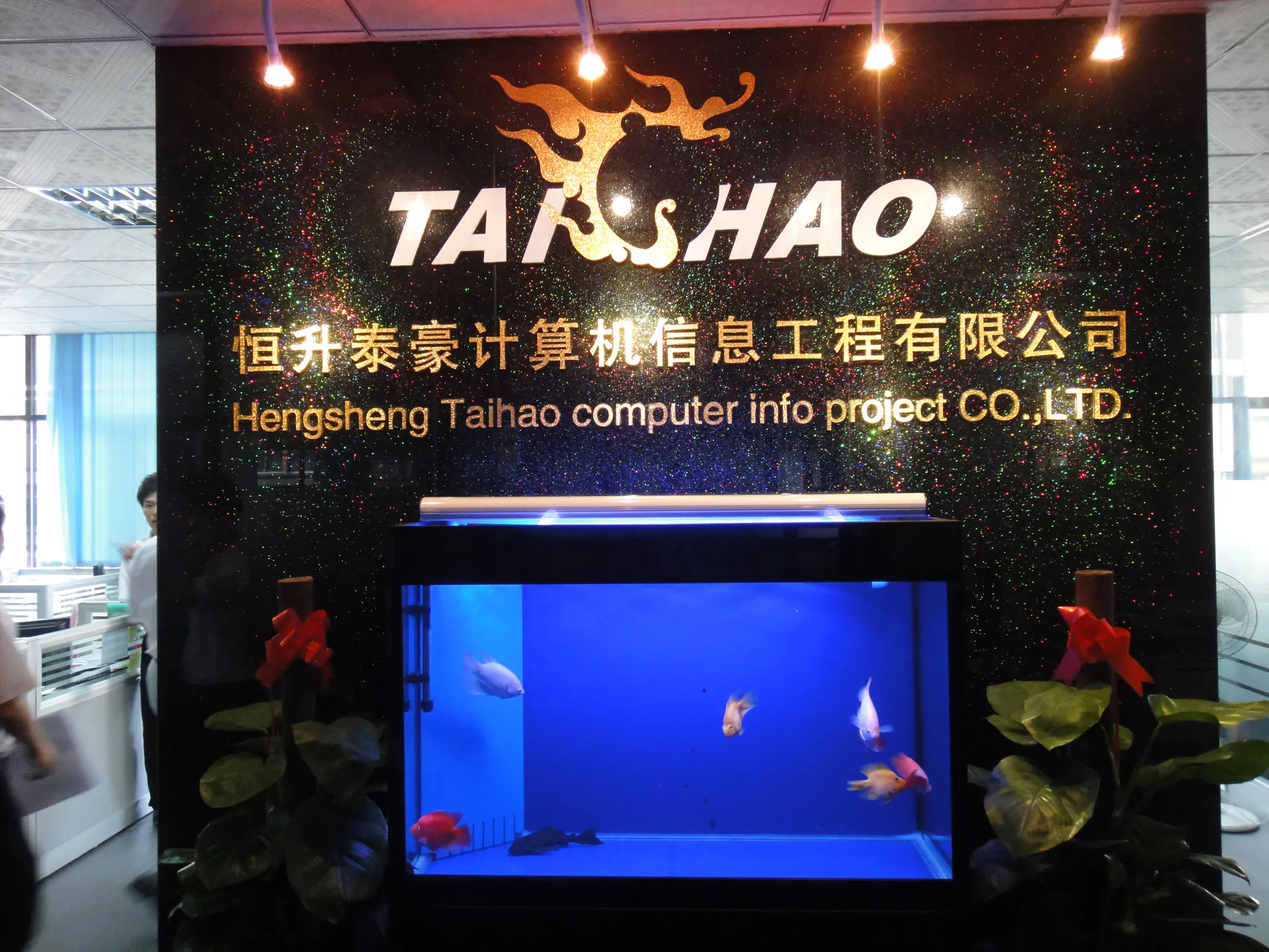 2008年发展历程